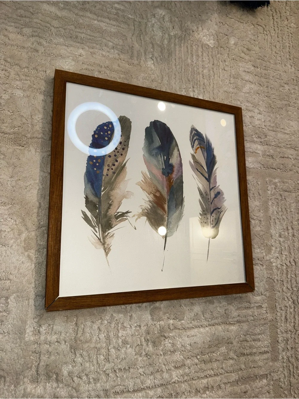Framed Feather Wall Art 16x16 Watercolor Boho Blue Gold Rustic Nature Decor